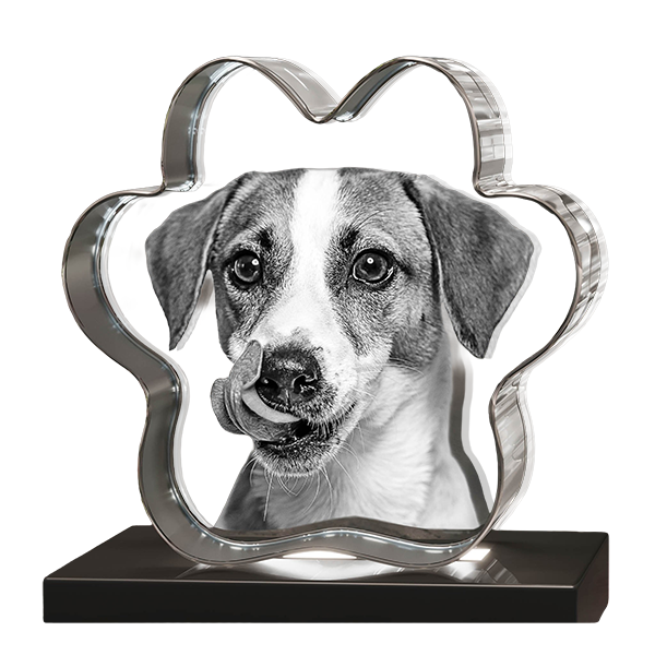 3D Crystal Paw - Image 4